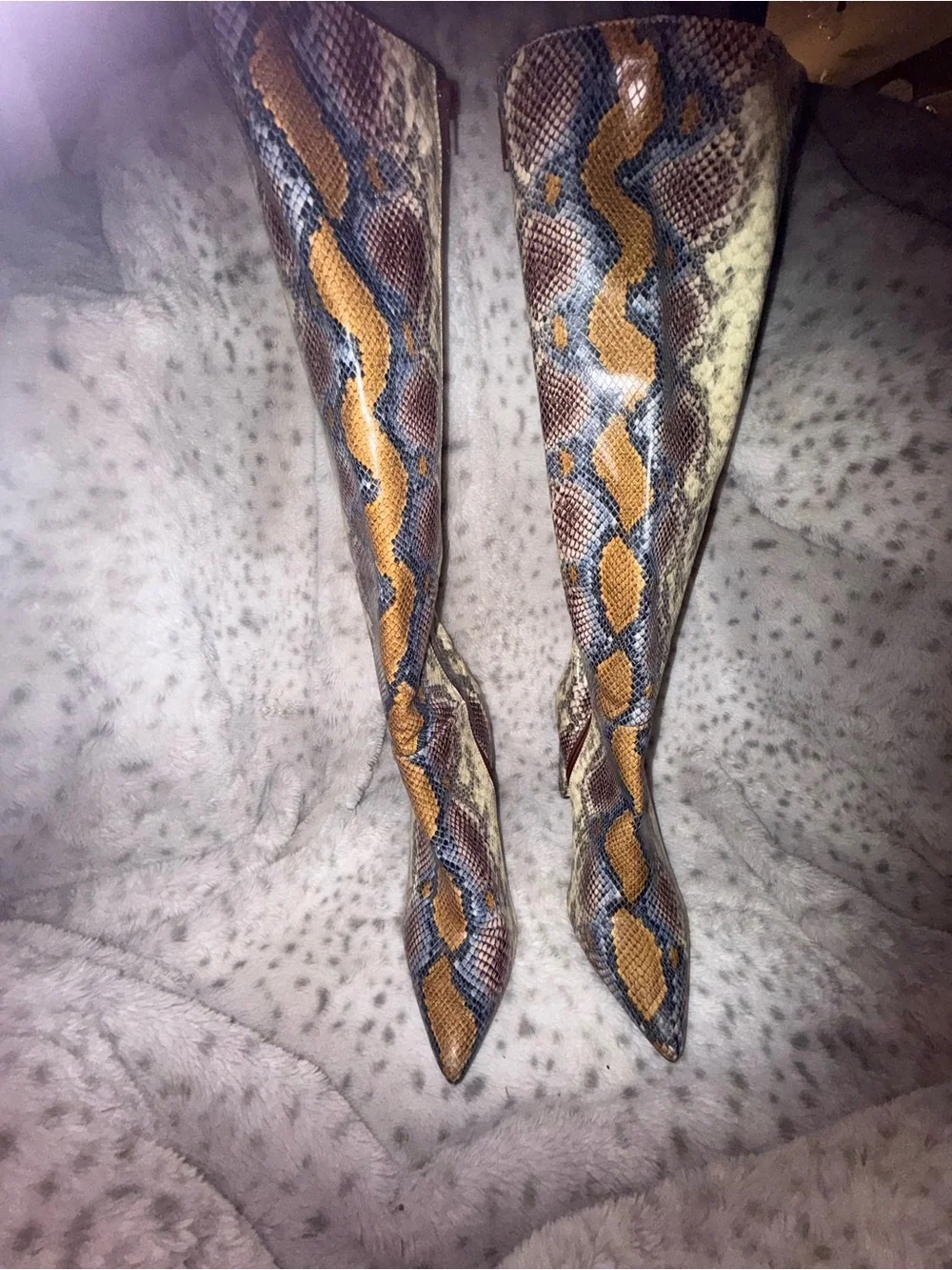 Fashion Nova Snake Print Over-The-Knee Boots in Cream, Brown, Blue